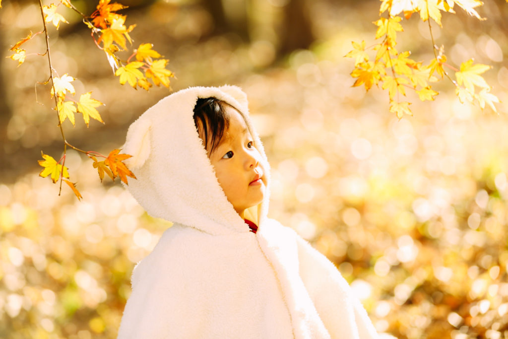 【イベント終了】秋の紅葉撮影会のお知らせ♪～満員御礼～